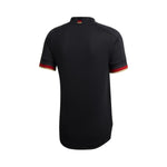 Alemania Alternativa 20/21