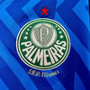 Palmeiras Portero 24/25