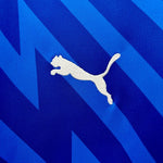 Palmeiras Portero 24/25