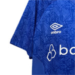 Grêmio Entrenamiento 24/25