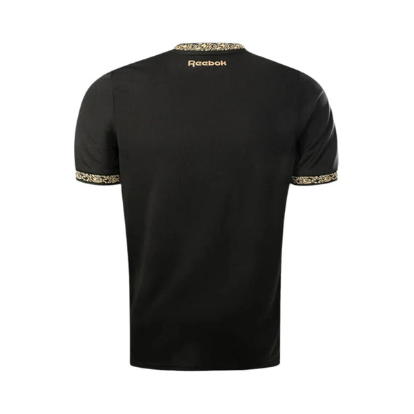 Botafogo Alternativa 24/25