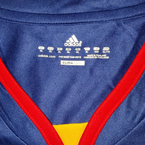 España Alternativa 10/11 - Final del Mundial 2010