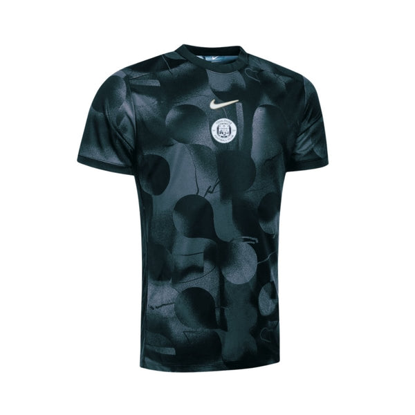 Toulouse Pre-partido 25/26