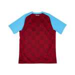 Aston Villa Principal 11/12