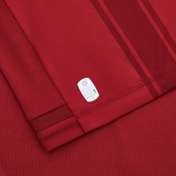 Hannover 96 Edición Especial 24/25