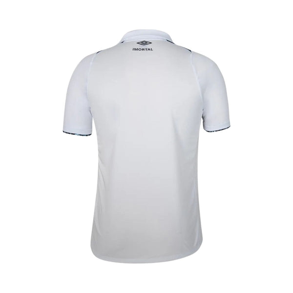 Grêmio Alternativa 24/25