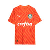 Palmeiras Portero 24/25