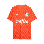Palmeiras Portero 24/25