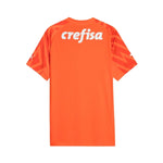 Palmeiras Portero 24/25