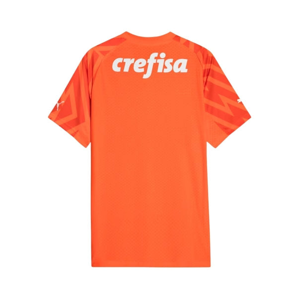 Palmeiras Portero 24/25