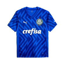 Palmeiras Portero 24/25