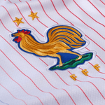 Francia Alternativa 24/25 - Versión Femenina - Euro 2024