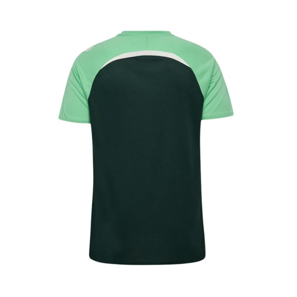 Werder Bremen Entrenamiento 25/26