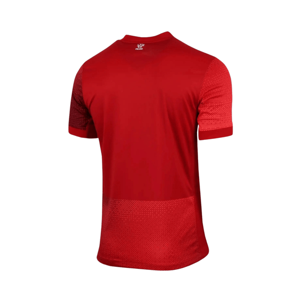 Polonia Alternativa 24/25 - Euro 2024