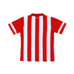 Atletico Madrid Principal 13/14