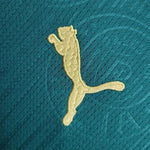 Kit de Niño - Palmeiras Principal 24/25