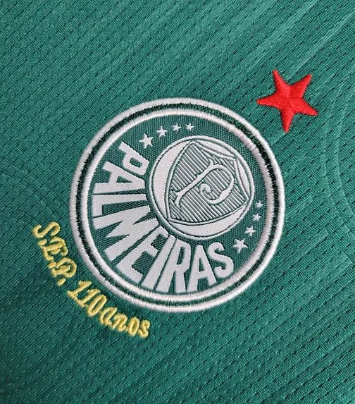 Kit de Niño - Palmeiras Principal 24/25