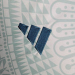 México Alternativa 24/25 - Versión Femenina - Copa América 2024