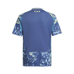 Ajax Alternativa 24/25