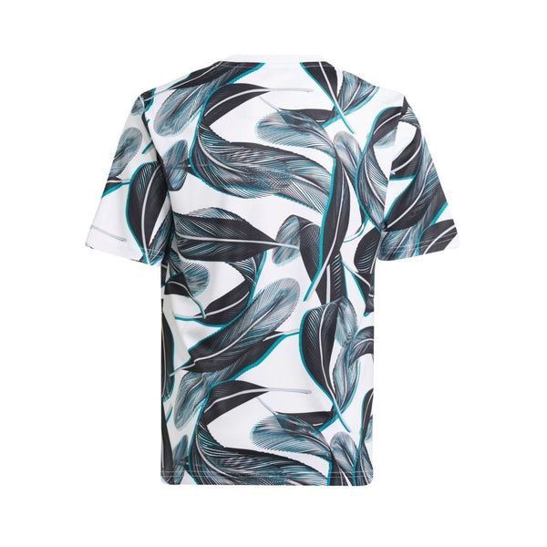 Newcastle United Pre-Partido 24/25