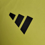 Flamengo Entrenamiento 24/25