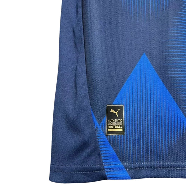 Heidenheim Alternativa 24/25