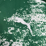 Palmeiras Edición Especial 24/25