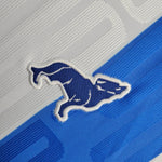 Paysandu Principal 24/25