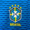 Brasil Alternativa 24/25 - Copa América 2024