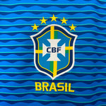 Brasil Alternativa 24/25 - Copa América 2024