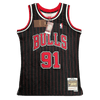 Chicago Bulls 1995-96