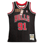 Chicago Bulls 1995-96