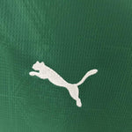 Palmeiras Principal 25/26 - Versión Femenina