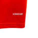 Cruzeiro Entrenamiento 24/25