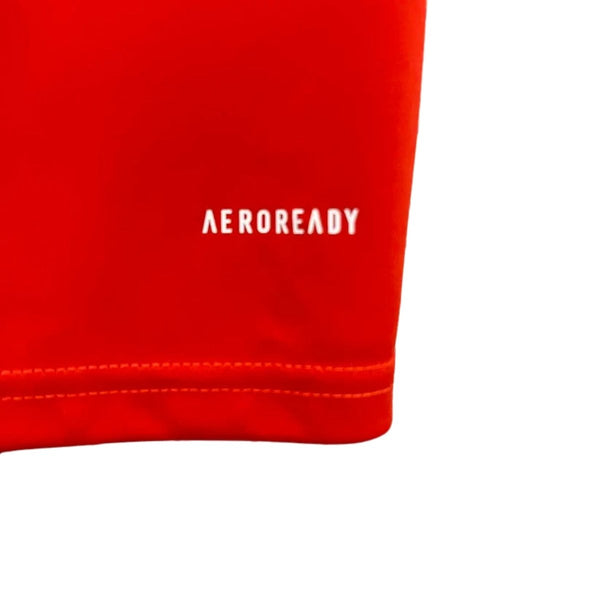 Cruzeiro Entrenamiento 24/25