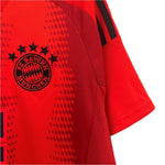 Bayern Munique Principal 24/25