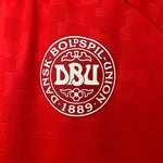 Dinamarca Principal 24/25 - Euro 2024