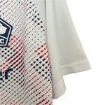 Lille Alternativa 24/25