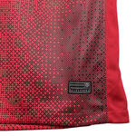 Polonia Alternativa 24/25 - Euro 2024