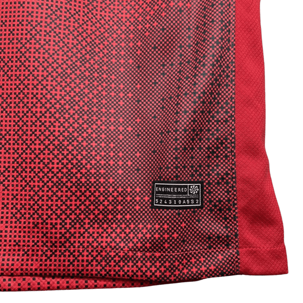 Polonia Alternativa 24/25 - Euro 2024