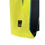 Manchester City Alternativa 24/25